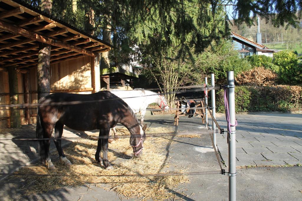 Ferienhaus "Kleiner Onkel" Honerath Buitenkant foto