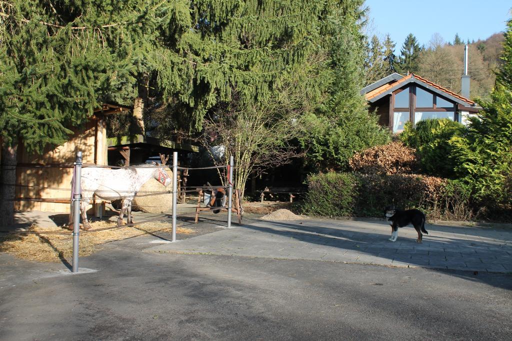 Ferienhaus "Kleiner Onkel" Honerath Buitenkant foto